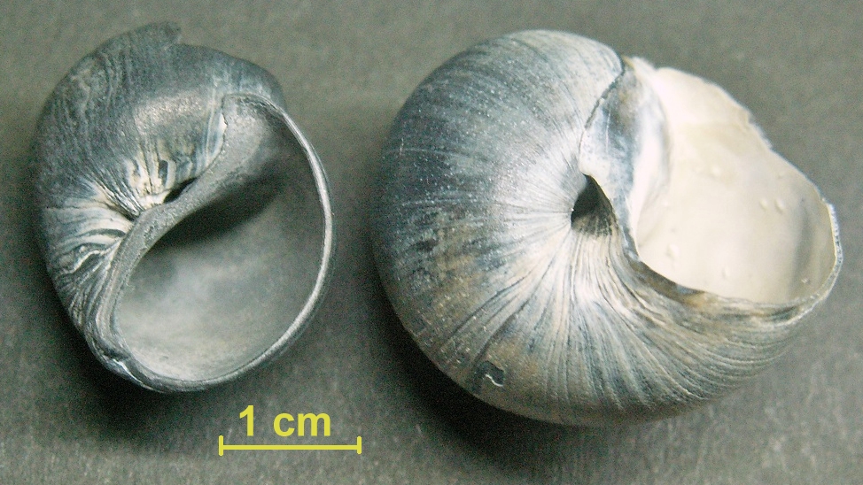 © Thijs de Boer © Thijs de Boer